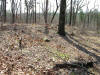 Lumsden's Alabama Battery (Kennesaw Mountain Battle) Little Kennesaw Mountain