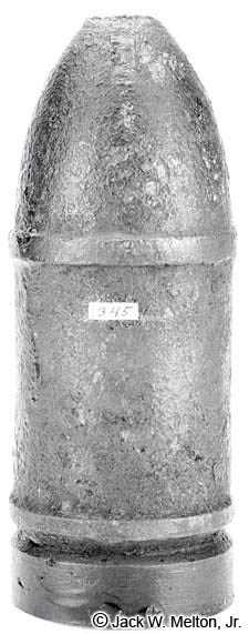 3-inch Selma Shell